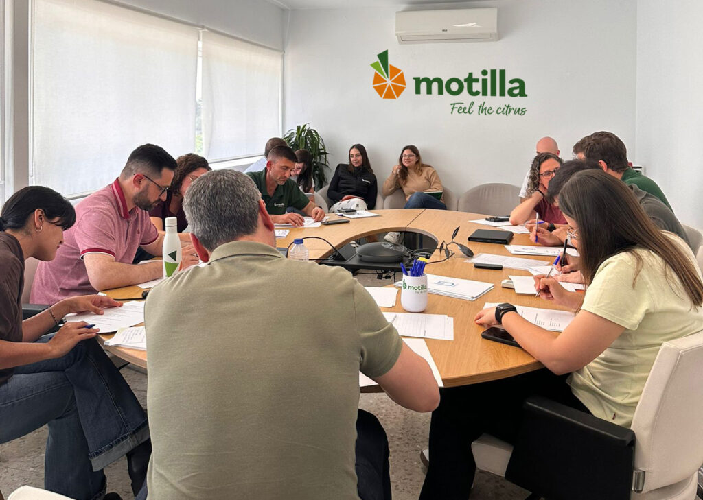 Curso de ciberseguridad en Motilla